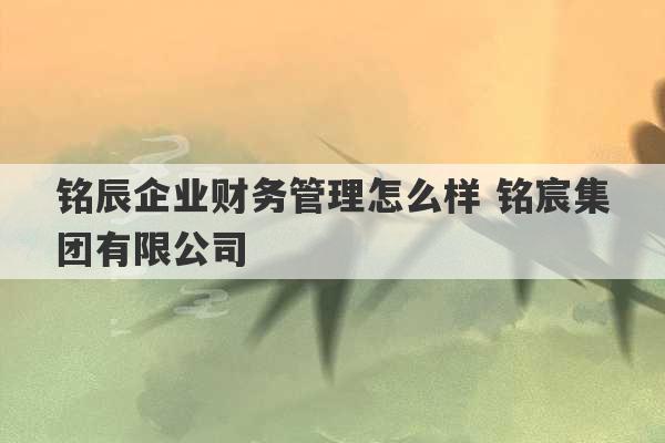 铭辰企业财务管理怎么样 铭宸集团有限公司