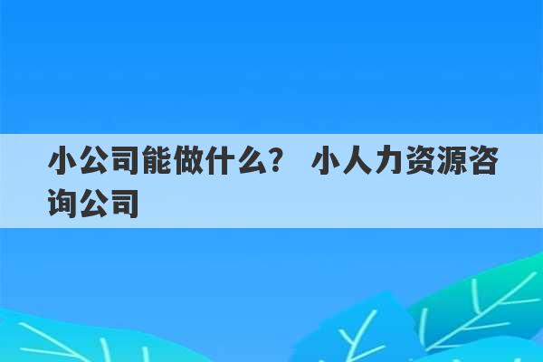 小公司能做什么？ 小人力资源咨询公司