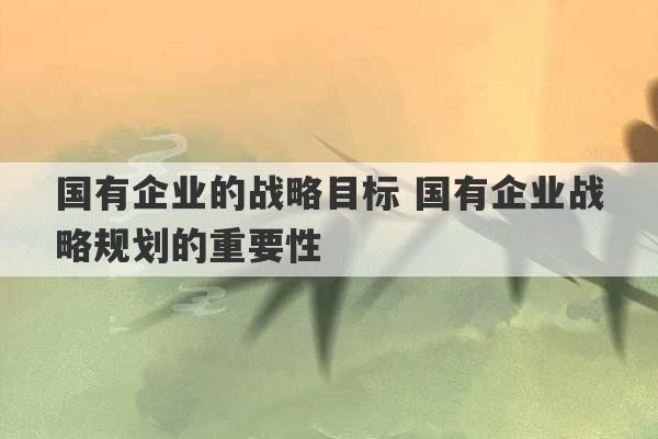 国有企业的战略目标 国有企业战略规划的重要性