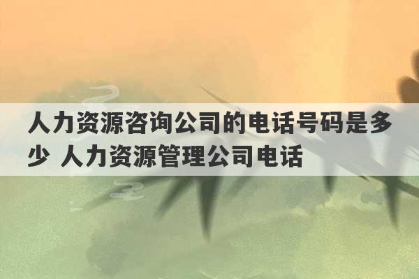 人力资源咨询公司的电话号码是多少 人力资源管理公司电话