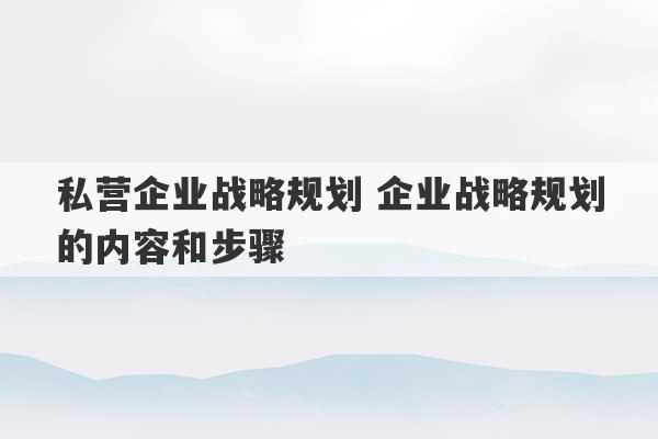 私营企业战略规划 企业战略规划的内容和步骤