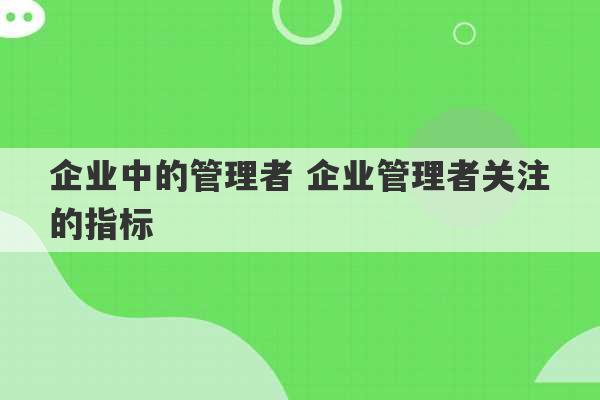 企业中的管理者 企业管理者关注的指标