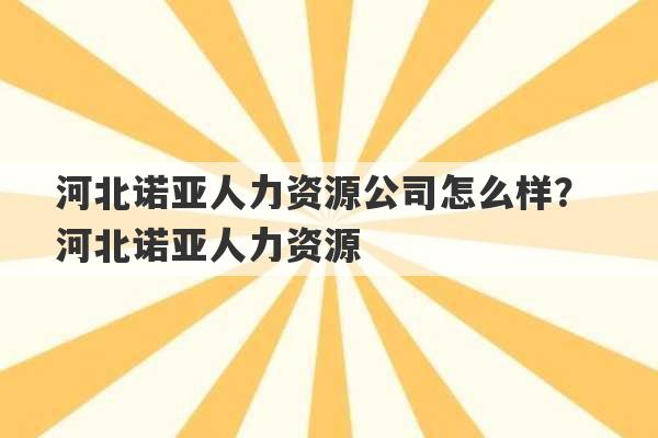 河北诺亚人力资源公司怎么样？ 河北诺亚人力资源