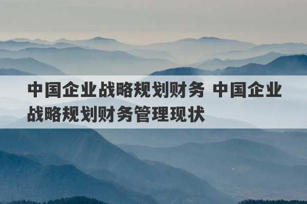 中国企业战略规划财务 中国企业战略规划财务管理现状