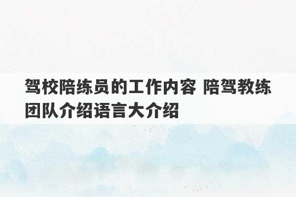 驾校陪练员的工作内容 陪驾教练团队介绍语言大介绍