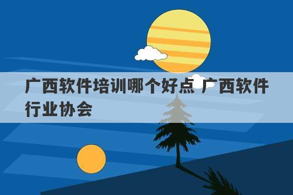 广西软件培训哪个好点 广西软件行业协会