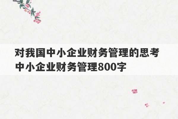 对我国中小企业财务管理的思考 中小企业财务管理800字