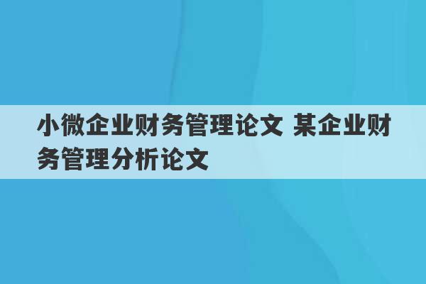 小微企业财务管理论文 某企业财务管理分析论文