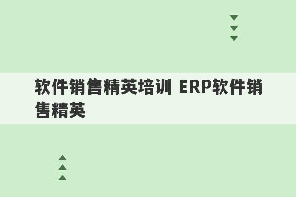 软件销售精英培训 ERP软件销售精英