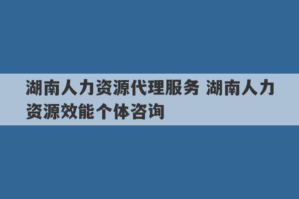 湖南人力资源代理服务 湖南人力资源效能个体咨询