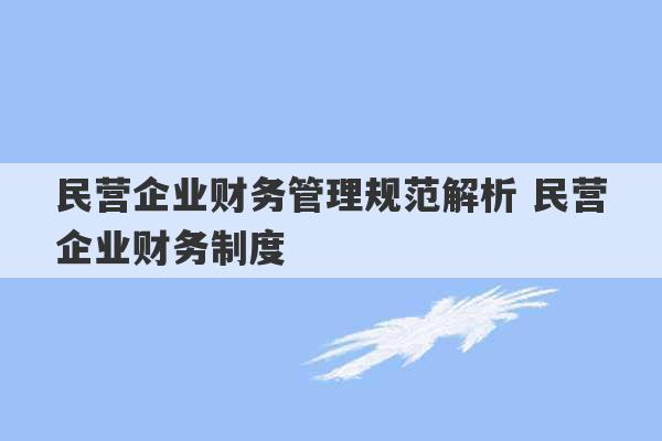 民营企业财务管理规范解析 民营企业财务制度