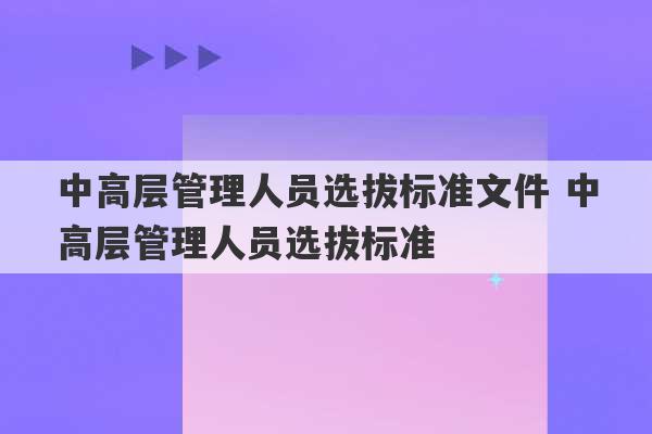 中高层管理人员选拔标准文件 中高层管理人员选拔标准