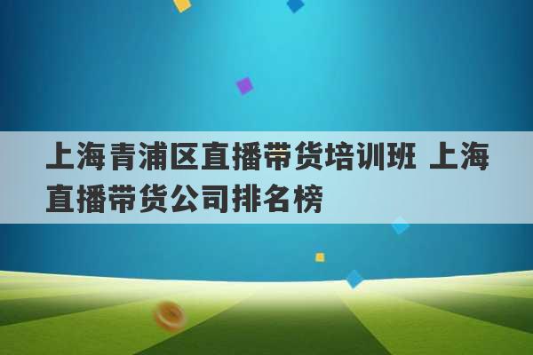 上海青浦区直播带货培训班 上海直播带货公司排名榜