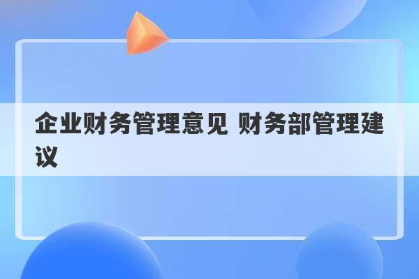 企业财务管理意见 财务部管理建议