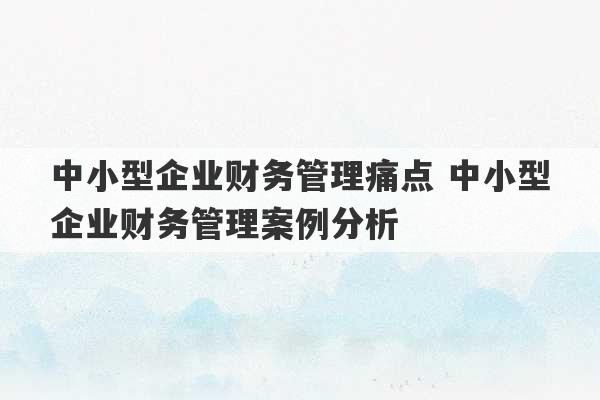 中小型企业财务管理痛点 中小型企业财务管理案例分析