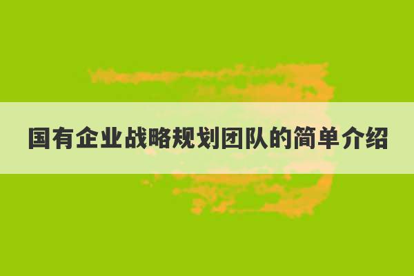 国有企业战略规划团队的简单介绍