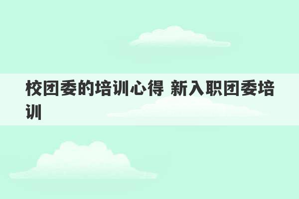 校团委的培训心得 新入职团委培训