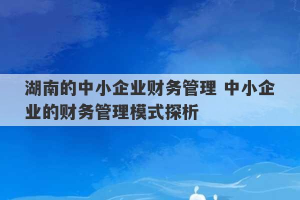 湖南的中小企业财务管理 中小企业的财务管理模式探析