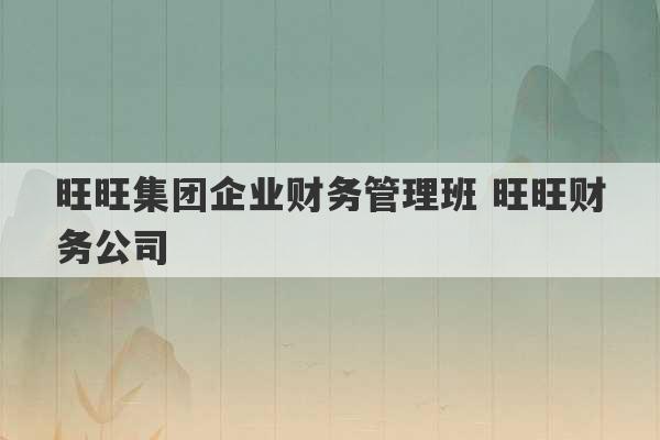 旺旺集团企业财务管理班 旺旺财务公司