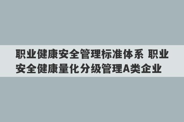 职业健康安全管理标准体系 职业安全健康量化分级管理A类企业