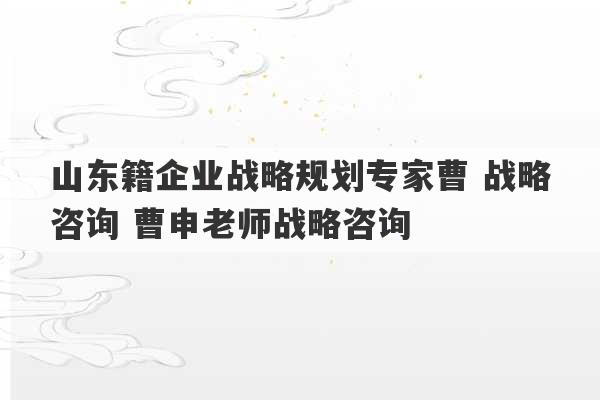 山东籍企业战略规划专家曹 战略咨询 曹申老师战略咨询