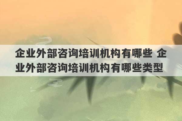 企业外部咨询培训机构有哪些 企业外部咨询培训机构有哪些类型