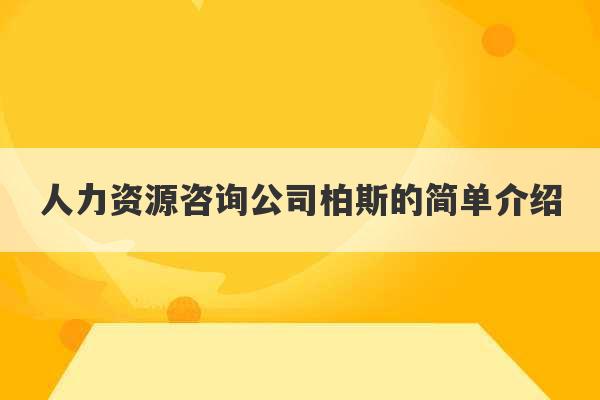 人力资源咨询公司柏斯的简单介绍