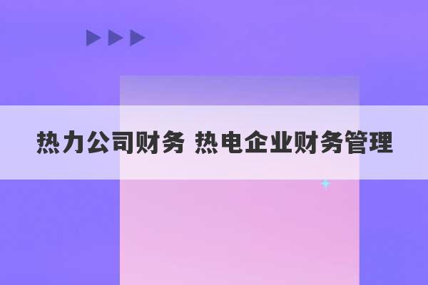 热力公司财务 热电企业财务管理