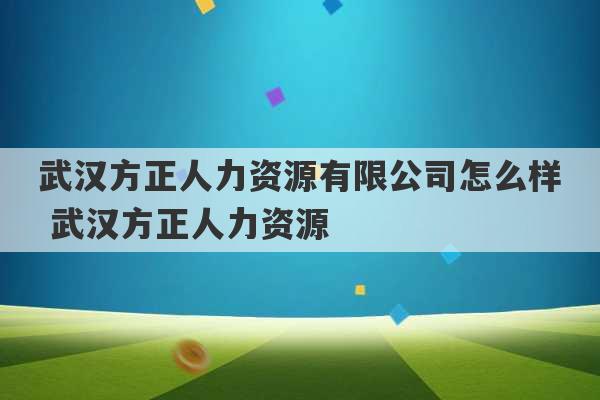 武汉方正人力资源有限公司怎么样 武汉方正人力资源