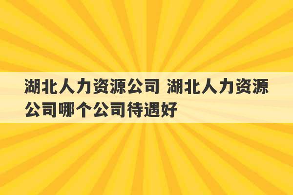 湖北人力资源公司 湖北人力资源公司哪个公司待遇好