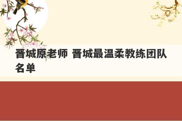 晋城原老师 晋城最温柔教练团队名单