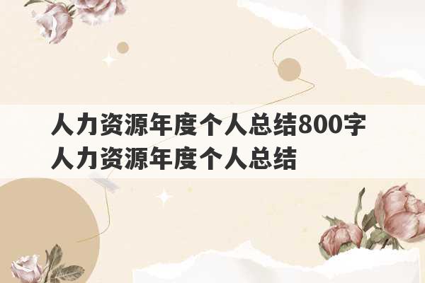 人力资源年度个人总结800字 人力资源年度个人总结