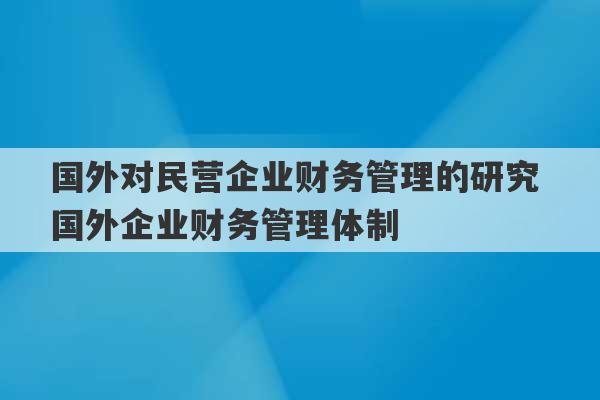 国外对民营企业财务管理的研究 国外企业财务管理体制