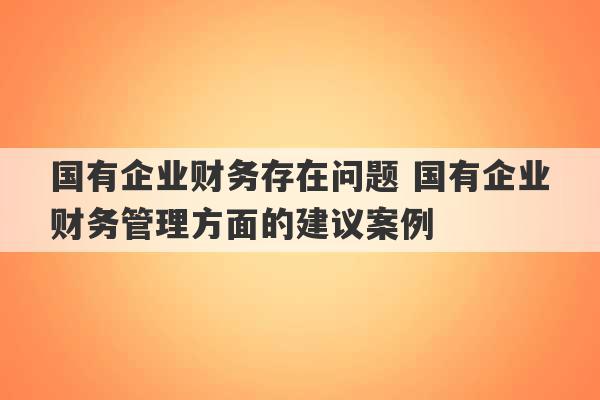 国有企业财务存在问题 国有企业财务管理方面的建议案例