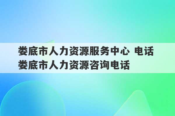 娄底市人力资源服务中心 电话 娄底市人力资源咨询电话