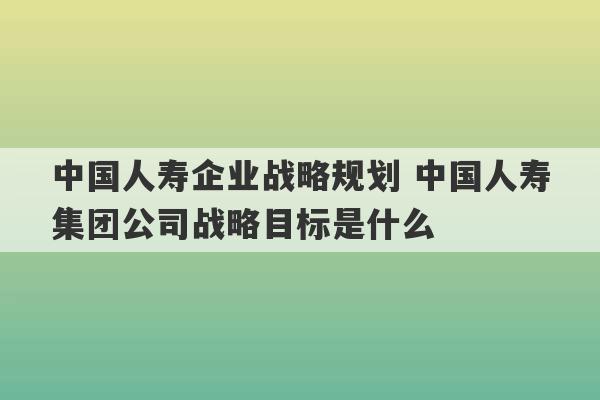 中国人寿企业战略规划 中国人寿集团公司战略目标是什么