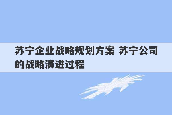 苏宁企业战略规划方案 苏宁公司的战略演进过程