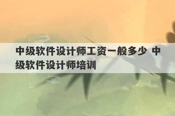 中级软件设计师工资一般多少 中级软件设计师培训