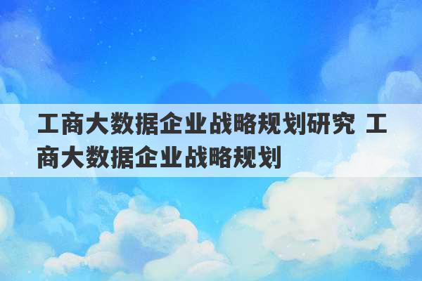 工商大数据企业战略规划研究 工商大数据企业战略规划