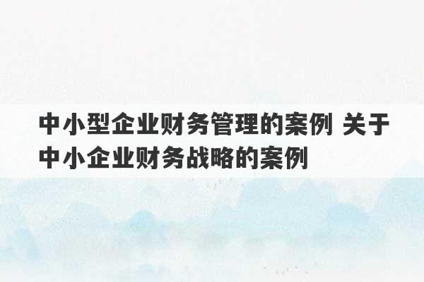 中小型企业财务管理的案例 关于中小企业财务战略的案例