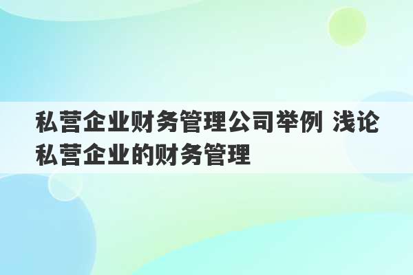 私营企业财务管理公司举例 浅论私营企业的财务管理