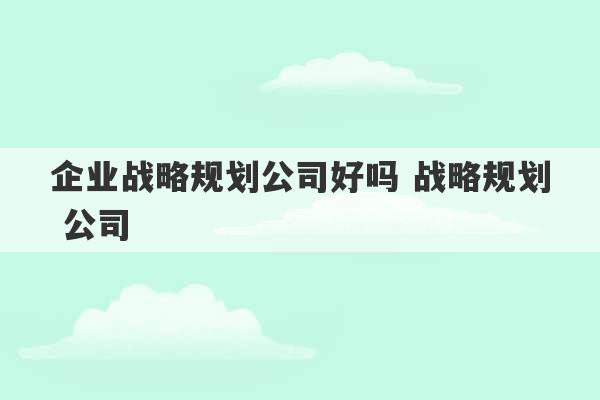 企业战略规划公司好吗 战略规划 公司