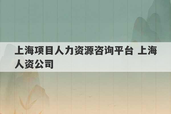 上海项目人力资源咨询平台 上海人资公司