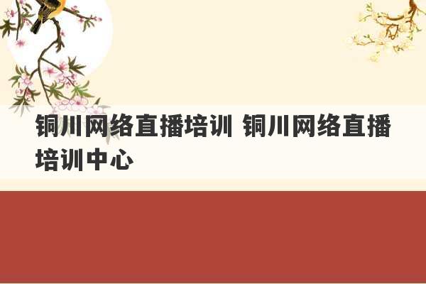 铜川网络直播培训 铜川网络直播培训中心