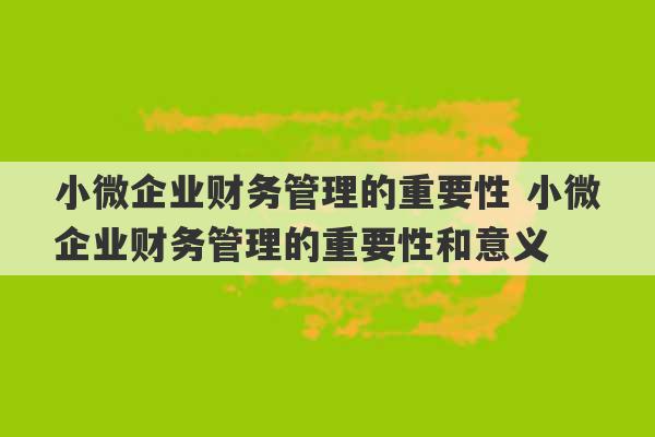 小微企业财务管理的重要性 小微企业财务管理的重要性和意义