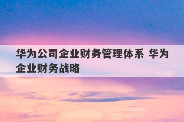 华为公司企业财务管理体系 华为企业财务战略