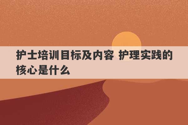 护士培训目标及内容 护理实践的核心是什么