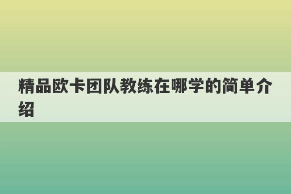 精品欧卡团队教练在哪学的简单介绍