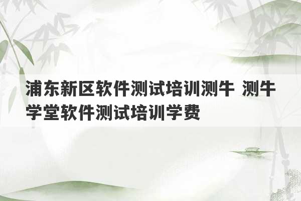 浦东新区软件测试培训测牛 测牛学堂软件测试培训学费