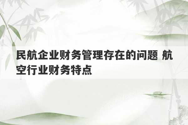 民航企业财务管理存在的问题 航空行业财务特点